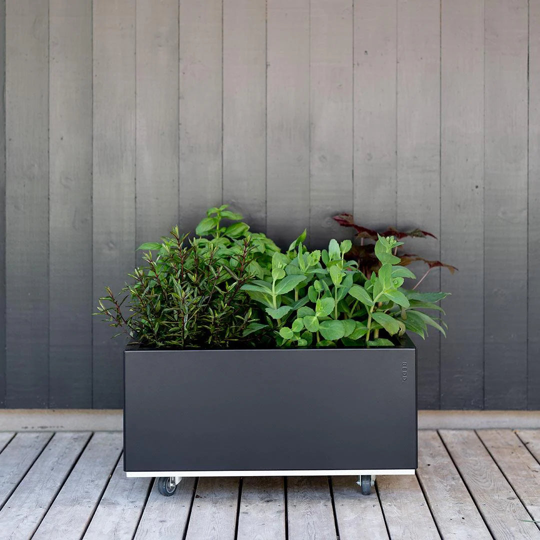 BEDD 60 x 30 x h25 cm er en fin liten balkongkasse som egner seg for krydderurter eller blomster som ikke krever stort jordvolum.