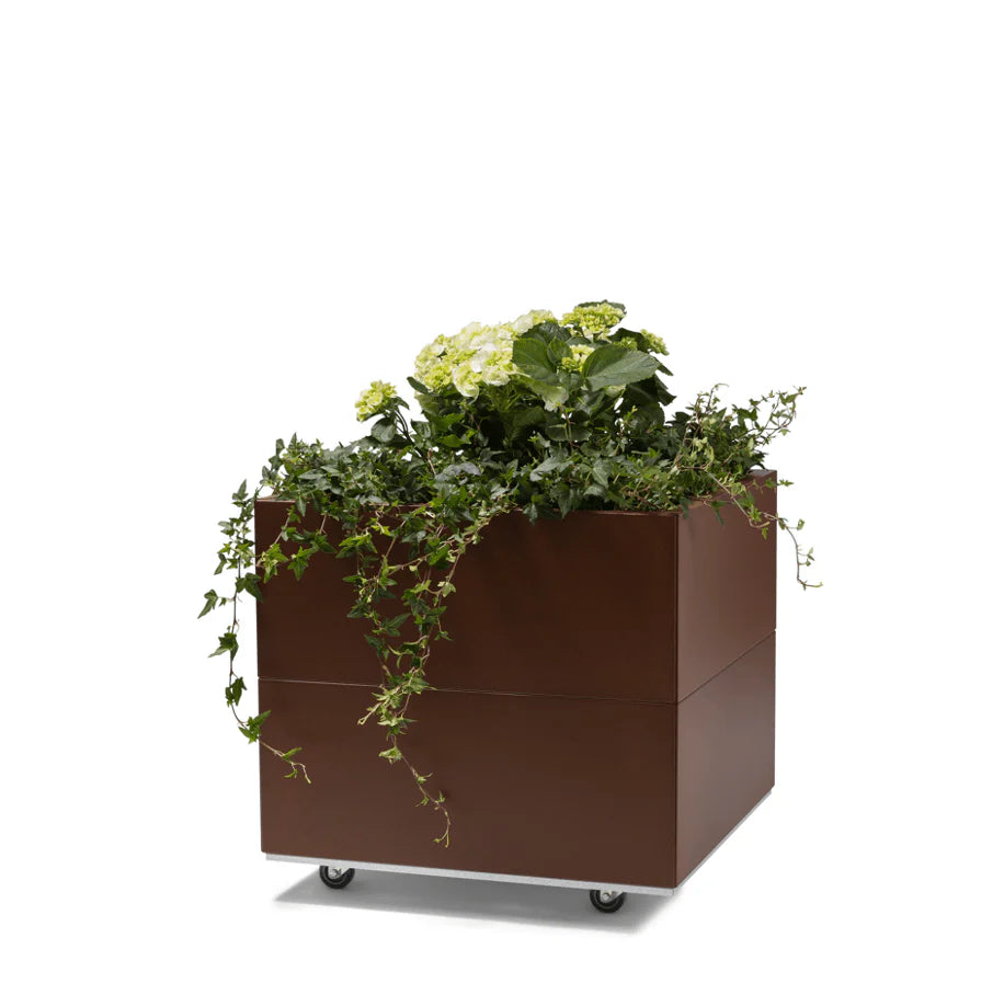 BEDD 60x60 h50 med bunn og hjul/ben i fargen rustlakk